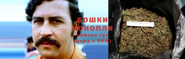 трава Балабаново
