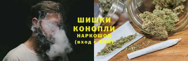 ГАЛЛЮЦИНОГЕННЫЕ ГРИБЫ Баксан