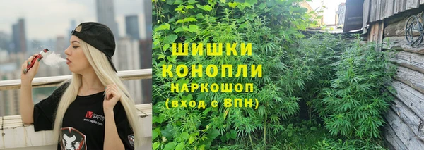 ГАЛЛЮЦИНОГЕННЫЕ ГРИБЫ Баксан