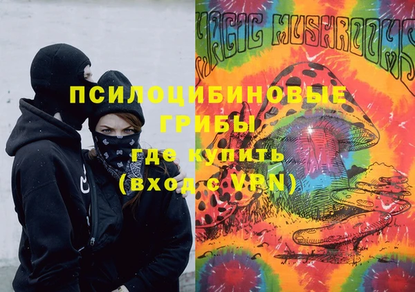 ГАЛЛЮЦИНОГЕННЫЕ ГРИБЫ Баксан