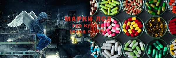 ГАЛЛЮЦИНОГЕННЫЕ ГРИБЫ Баксан